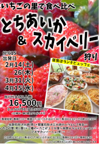 とちあいか＆スカイベリー狩り