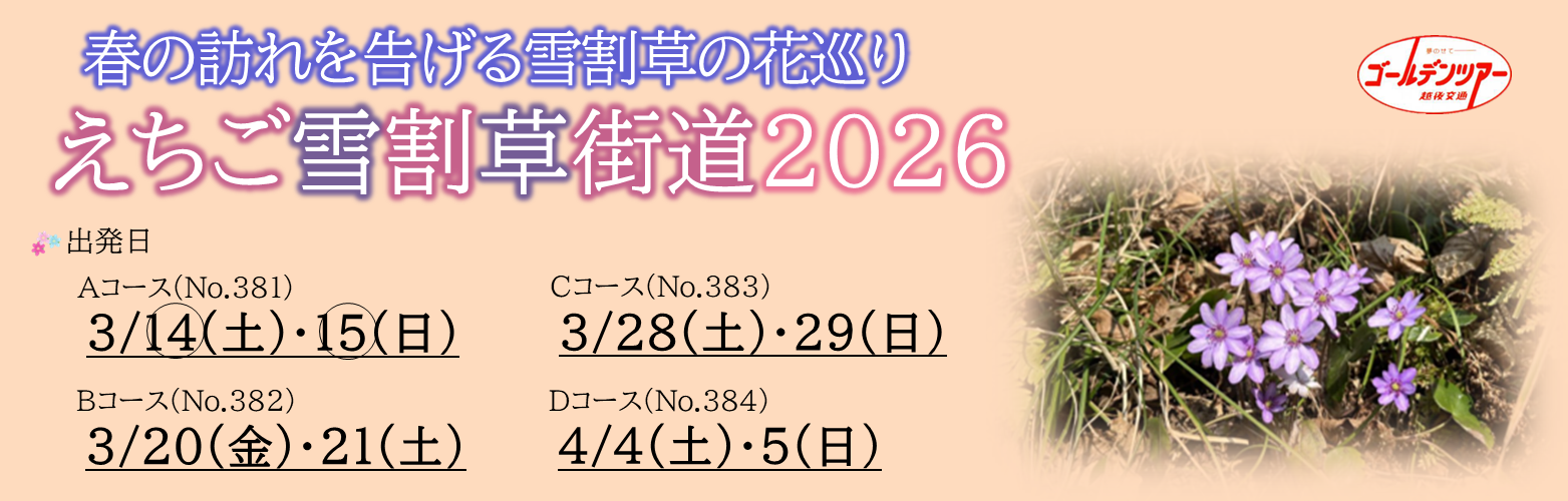 えちご雪割草街道2026
